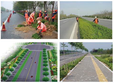 徐州高鐵站區12條道路綠化養護工程